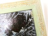 une photo représentant le reflet d'un arbre dans un cadre