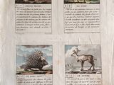 four pictures of animals on the page of a book