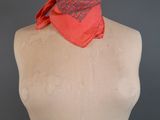 an image of a mannequin torso with a red scarf on it