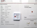 un certificat sur lequel figure l'image d'un diamant rouge