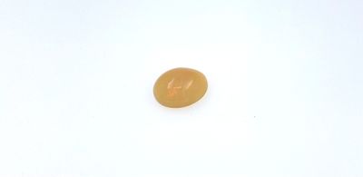 OPALE orange sur papier, taille cabochon de 1.