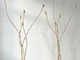trois vases blancs posés sur une table blanche