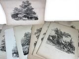 several old black and white prints of trees on a white surface