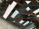 a person taking a picture of the back window of a car