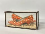 pair of orange high heel shoes in a glass box with gravel