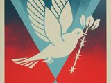 an image of a poster with a dove holding a twig