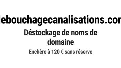 Nom de domaine debouchagecanalisations.
