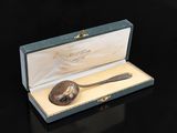une cuillère en argent dans une boîte contenant une cuillère