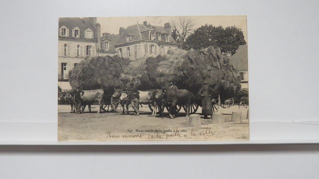 Guéret : Nous menin de lo paillo à la villo. AAA 347. Carte rare ...