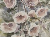 a watercolor painting of a bunch of pink roses