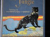 un livre sur lequel figure l'image d'un chat