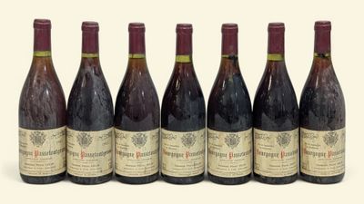 six bouteilles de vin sont alignées sur une surface blanche