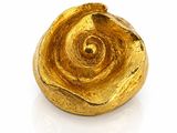 an image of a gold plated object on a white surface
