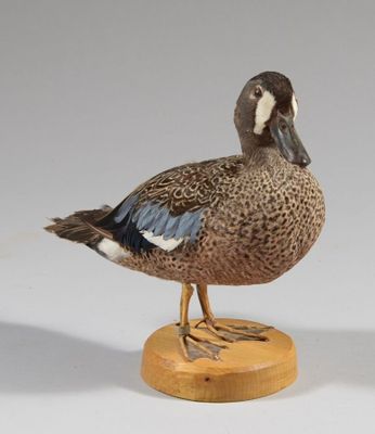 une paire de canards posés sur un socle en bois, sur une surface blanche
