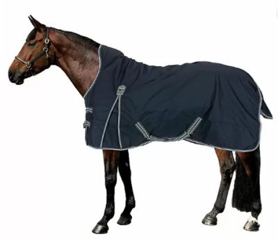 a horse that is wearing a blanket on it ' s back