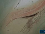 an image of a drawing of a woman ' s face with long hair