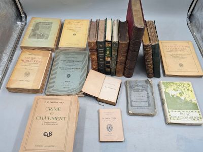 183 / Z4 / Important lot de livres sur la littérature e…