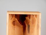 a wooden box that has a bird inside of it