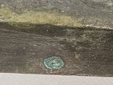 a close up of a piece of wood with a coin on it