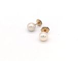une paire de boucles d'oreilles à clous en perles sur fond blanc