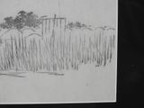 pencil drawing of a fence with a tree in the background