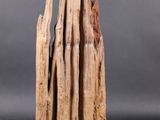 an image of a piece of drift wood on a grey background