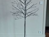 une photo d'un arbre nu au milieu d'un salon