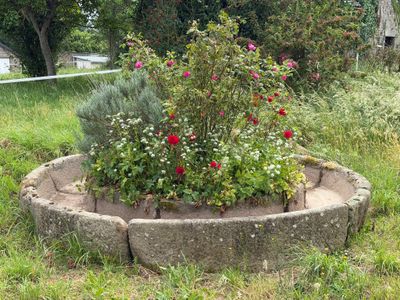 une jardinière en pierre remplie de fleurs, au milieu d'un champ