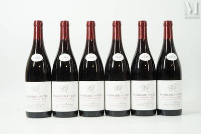 six bouteilles de vin rouge alignées sur une surface blanche