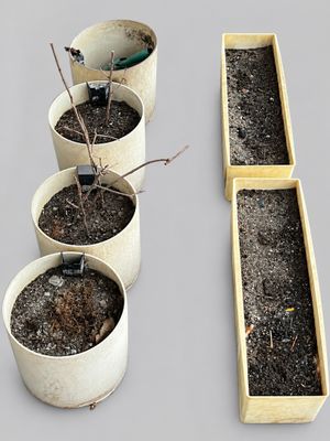 four pots that have plants in them in them