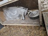 une image représentant un chien dans une cage avec un sac en plastique