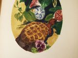 a picture of a book with a picture of a turtle on it