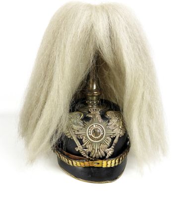 une image représentant un casque militaire surmonté d'une longue mèche de cheveux blancs