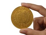 une personne tenant une pièce d'or dans la main