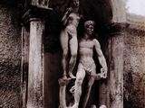 Photo 7/8 du lot