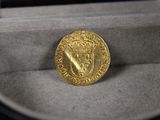 l'image d'une pièce d'or surmontée d'une couronne