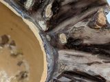 a close up of a vase with a banana in it