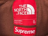 supreme the north face brown jacket