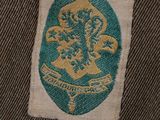 a close up of a badge on a jacket