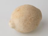 a lemon that is sitting on a white surface