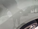 a cat sitting on the back of a car with its paw on the door handle