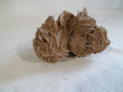 a pile of brown sponges on a white surface