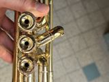 a person holding a brass instrument in their hand