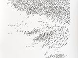 a lot of birds that are flying in the sky