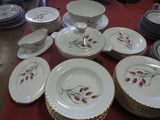 beaucoup d'assiettes et de tasses sur la table
