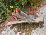 a wooden bench that is sitting on the side of the road