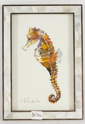 tableau représentant un hippocampe, encadré et muni d'une étiquette