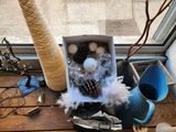 a box filled with pine cones and other items on a window sill