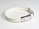 white leather dog collar with a silver buckle on a white background
