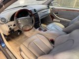 the interior of a car is clean and ready to be used